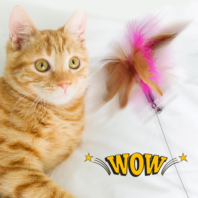 Cat Feather Collar toy