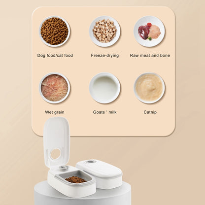 Auto Pet Food Dispenser with Timer