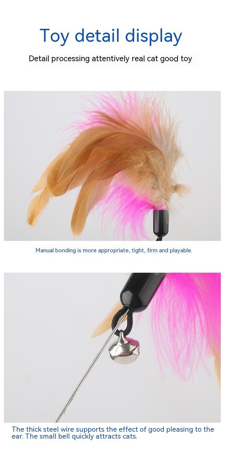 Cat Feather Collar toy